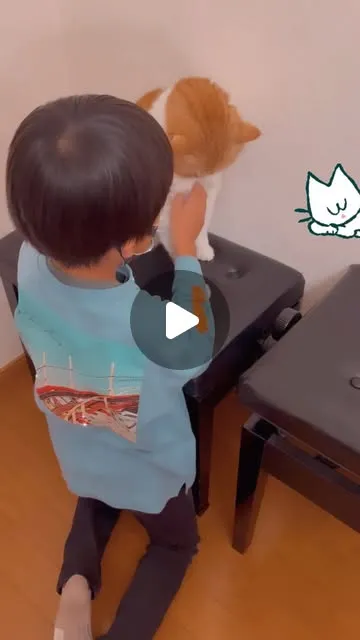 レッスン室で子どもが茶白猫ニコラと触れ合う後ろ姿。（仮画像）